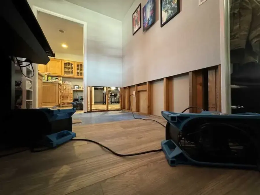 Air movers drying a flood-cut living room down to the wall studs in New Port Richey