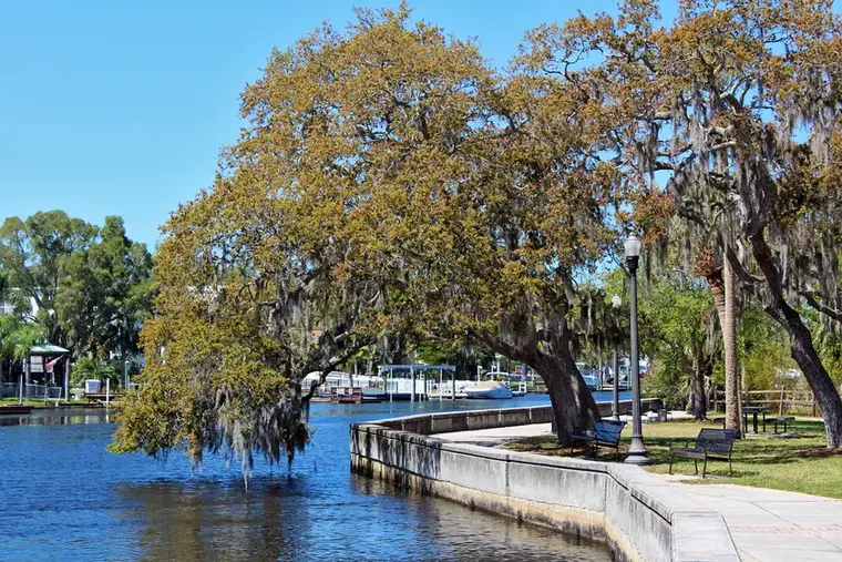 Seawall and oaks along the Pithlachascotee River in New Port Richey