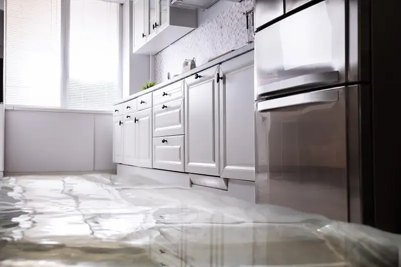Water spread across a kitchen floor from a refrigerator ice maker line