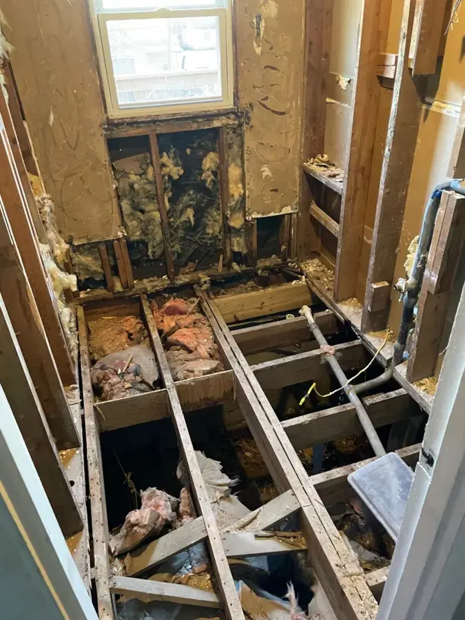 Bathroom floor opened to wet joists and insulation after a leak in a manufactured home