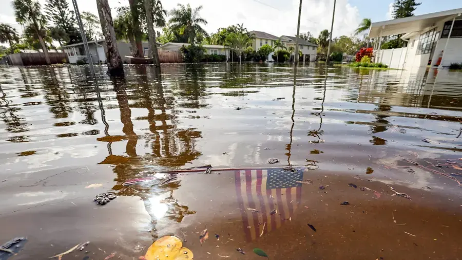 Flash flood water covering a palm-lined Florida street after heavy rain