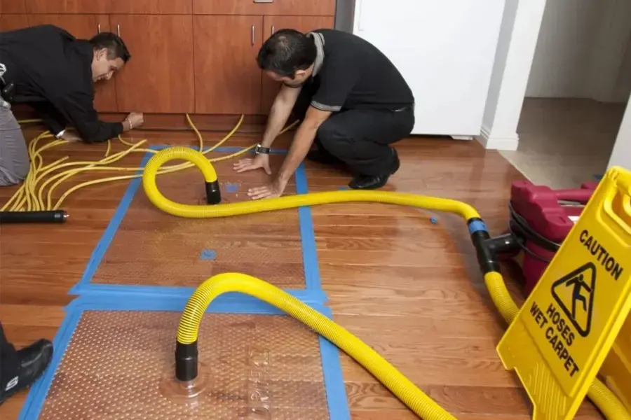 Extraction hoses and drying mats pulling water out of a hardwood floor in New Port Richey
